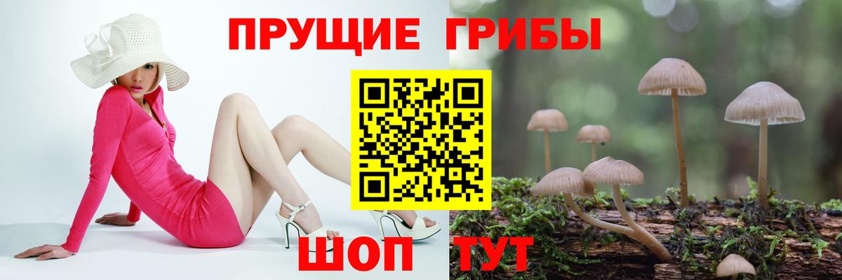 Галлюциногенные грибы Magic Shrooms Алексеевка